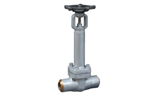 ANSI Bellows Valves